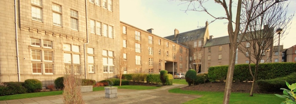 crown street 2000 x 704 elaine duthie